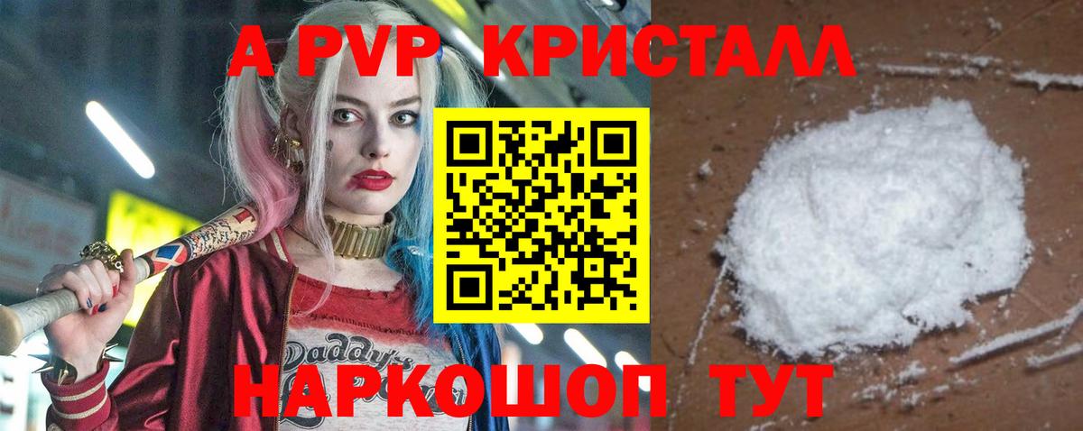 Alfa_PVP СК Бердск