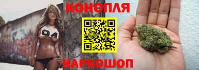 тгк Белореченск