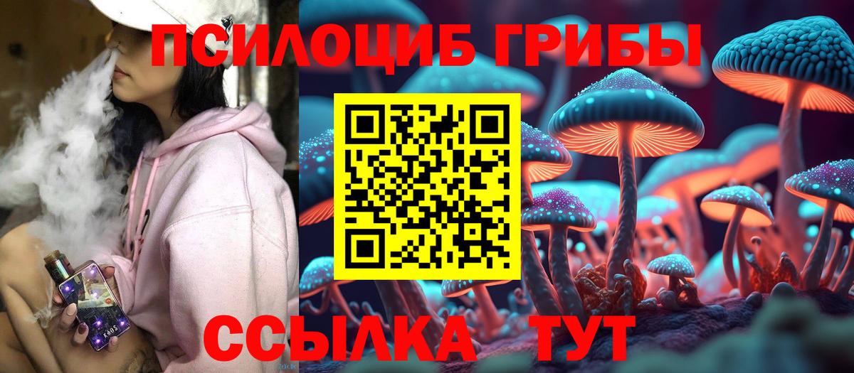даркнет сайт  Галлюциногенные грибы Psilocybine cubensis  Вход с VPN  Псилоцибиновые грибы GOLDEN TEACHER  Бердск 